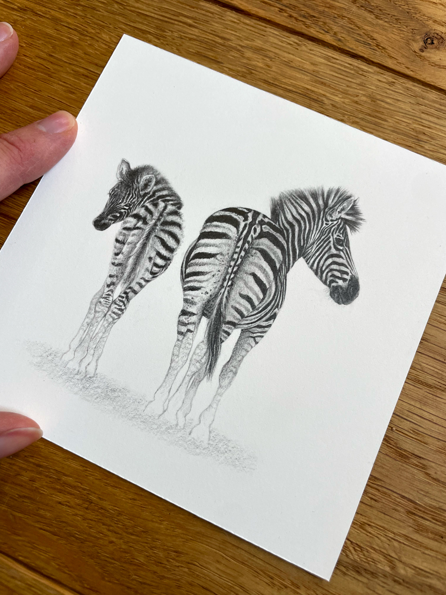 Zebras-2_FW